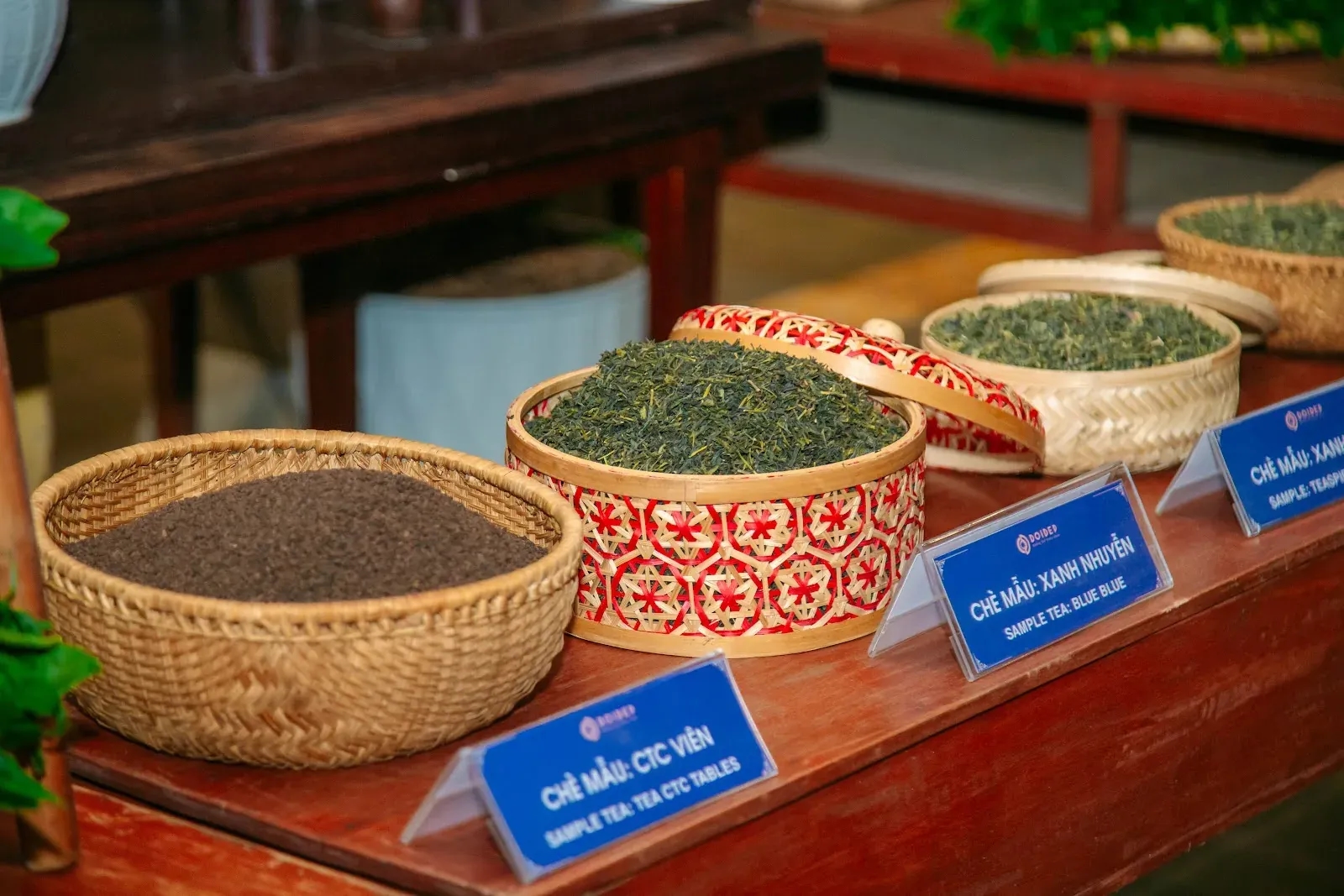 Chè Đen, Chè Xanh, Chè Ô Long: Lựa Chọn Phù Hợp Với Bạn
