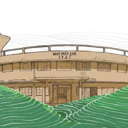 Tranh minh hoạ Nhà Máy Chè 1927 giữa đồi chè
