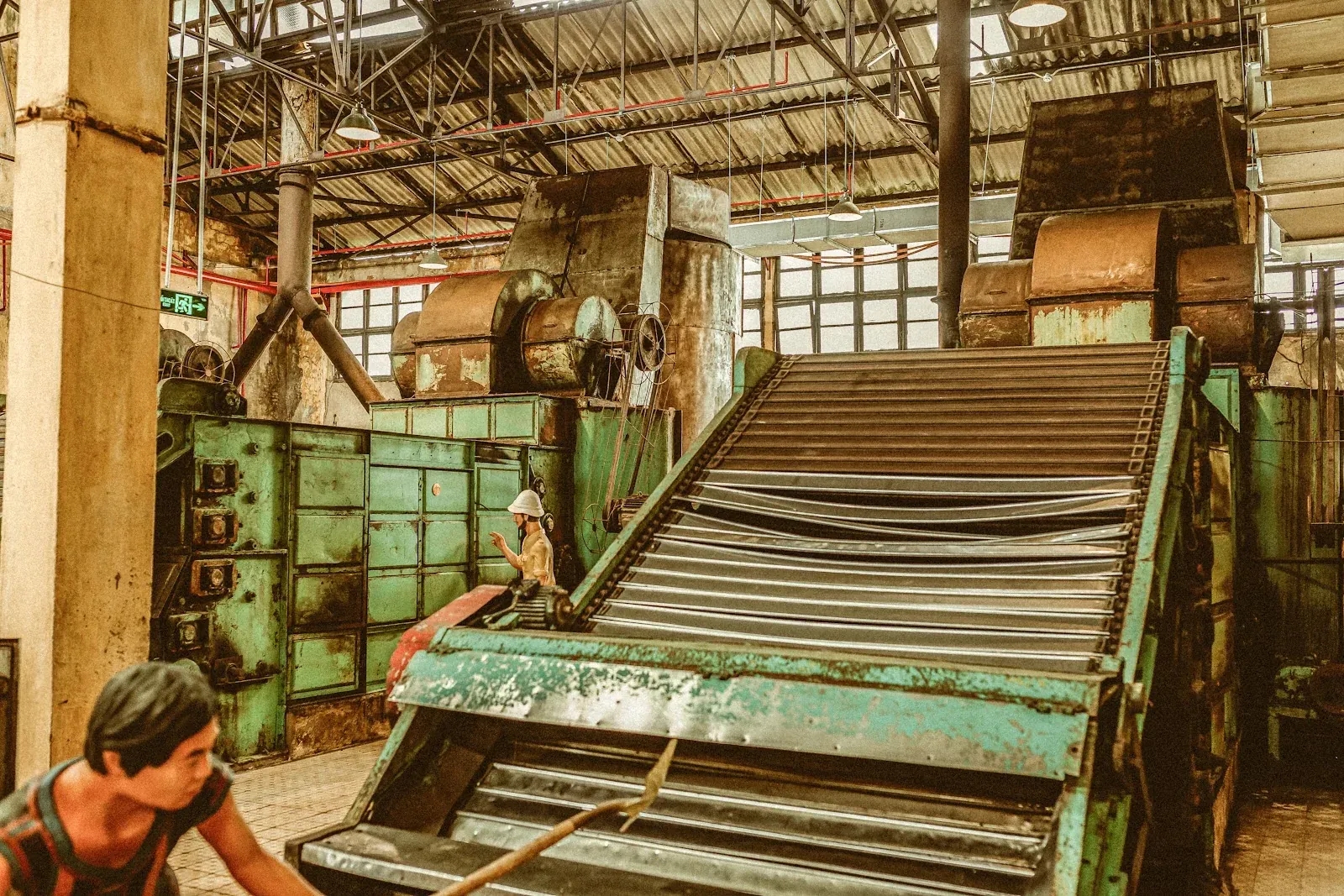 Sấy Và Sàng Tách: Những Bước Hoàn Thiện Cánh Chè